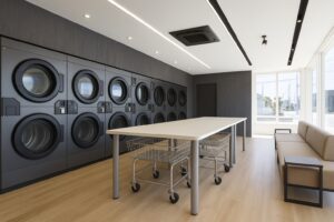 1.なぜ今、コインランドリーなのか?