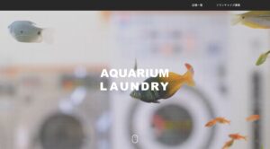 AQUARIUM LAUNDRY