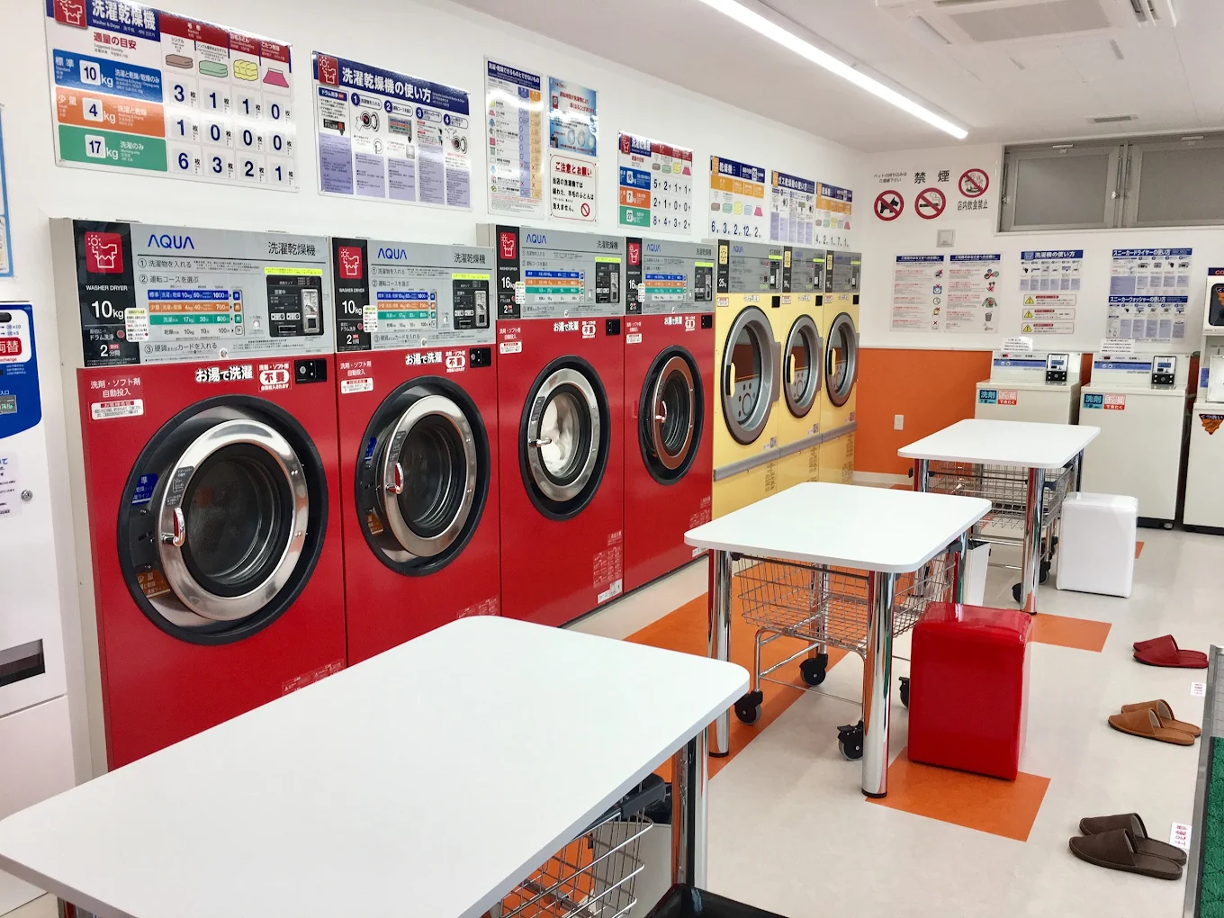 Retro camera and potted plant on wooden surface with copy space.