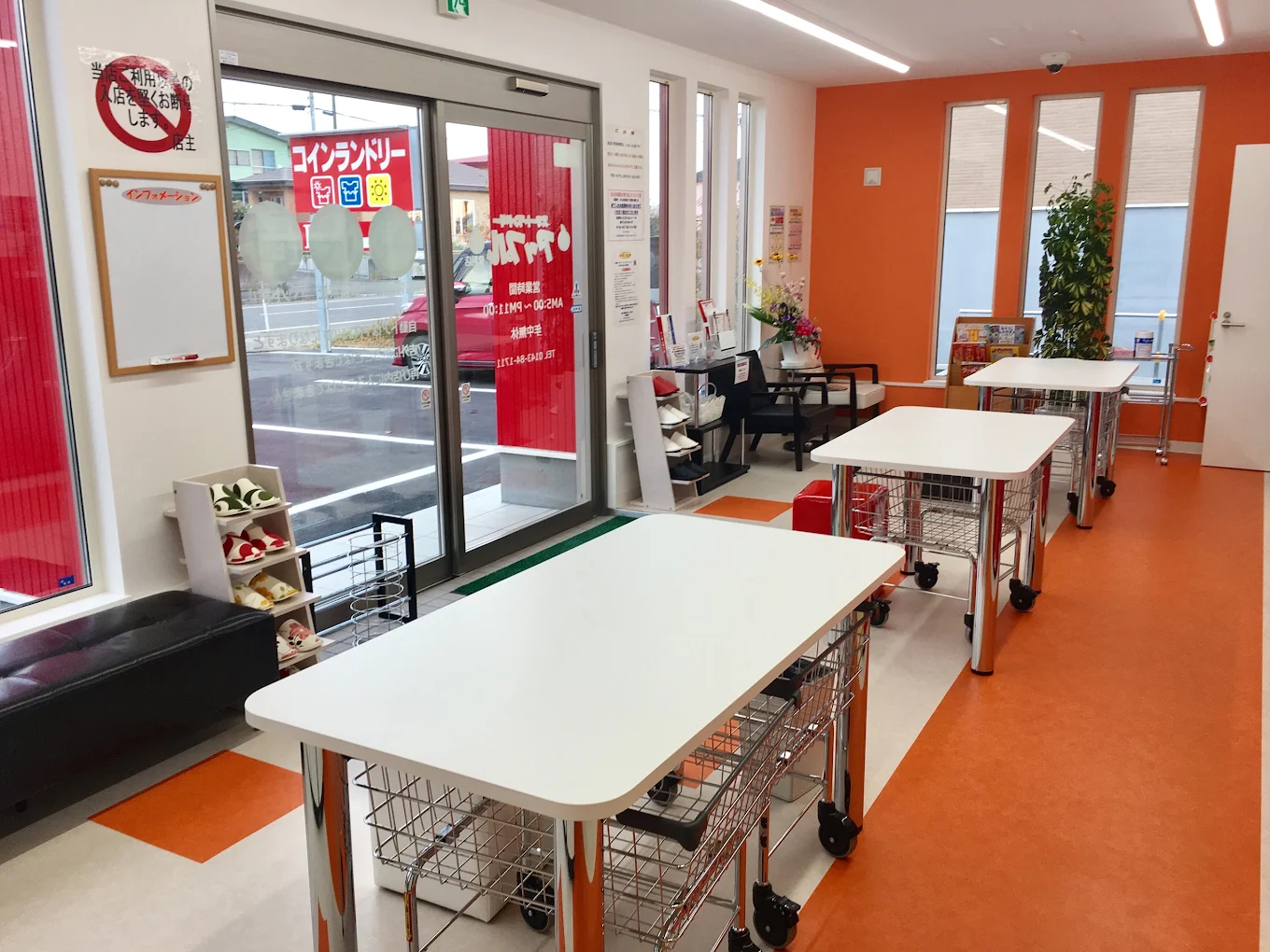 Retro camera and potted plant on wooden surface with copy space.