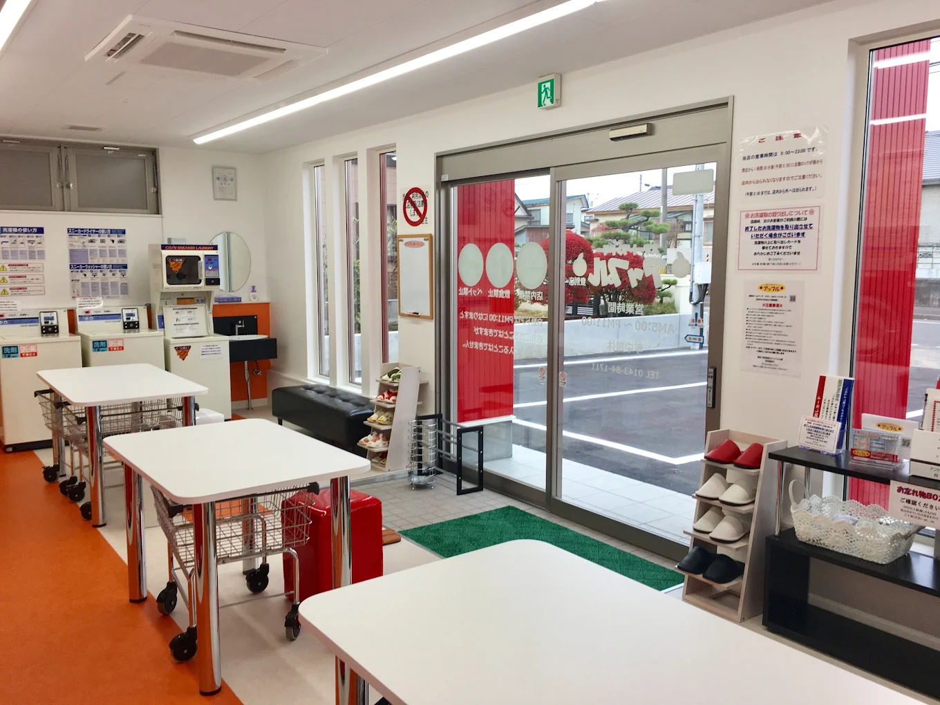 Retro camera and potted plant on wooden surface with copy space.