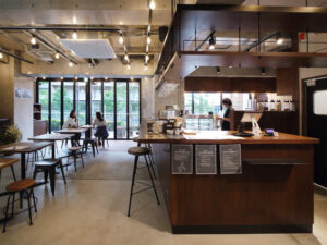 Retro camera and potted plant on wooden surface with copy space.