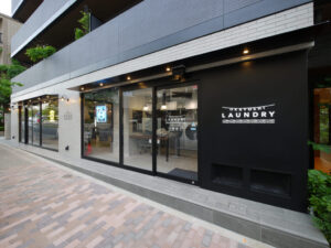 Retro camera and potted plant on wooden surface with copy space.