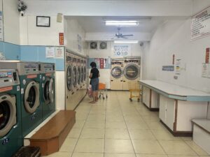 Retro camera and potted plant on wooden surface with copy space.