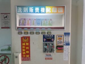 Retro camera and potted plant on wooden surface with copy space.