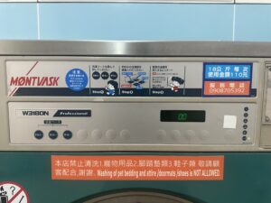 Retro camera and potted plant on wooden surface with copy space.