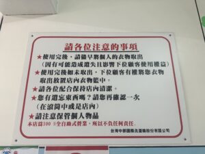 Retro camera and potted plant on wooden surface with copy space.