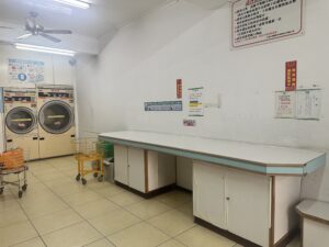 Retro camera and potted plant on wooden surface with copy space.