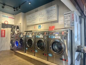 Retro camera and potted plant on wooden surface with copy space.