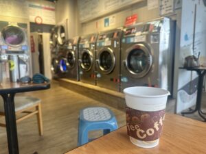 Retro camera and potted plant on wooden surface with copy space.