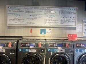 Retro camera and potted plant on wooden surface with copy space.