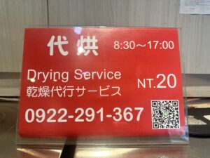 Retro camera and potted plant on wooden surface with copy space.