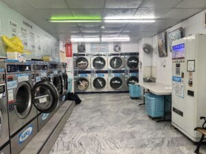 Retro camera and potted plant on wooden surface with copy space.