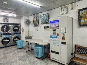 Retro camera and potted plant on wooden surface with copy space.