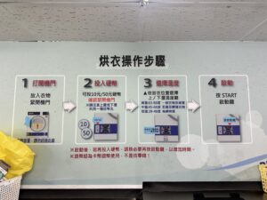 Retro camera and potted plant on wooden surface with copy space.