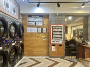 Retro camera and potted plant on wooden surface with copy space.