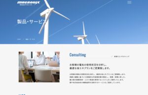 株式会社マクロニクス